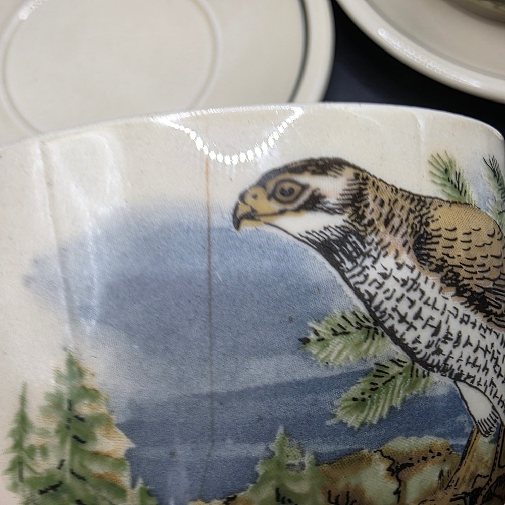 Vintage CP Colditz GDR East Germany Bird Hawk Soup Bowls and Saucers Set of 2 - Picture 11 of 16